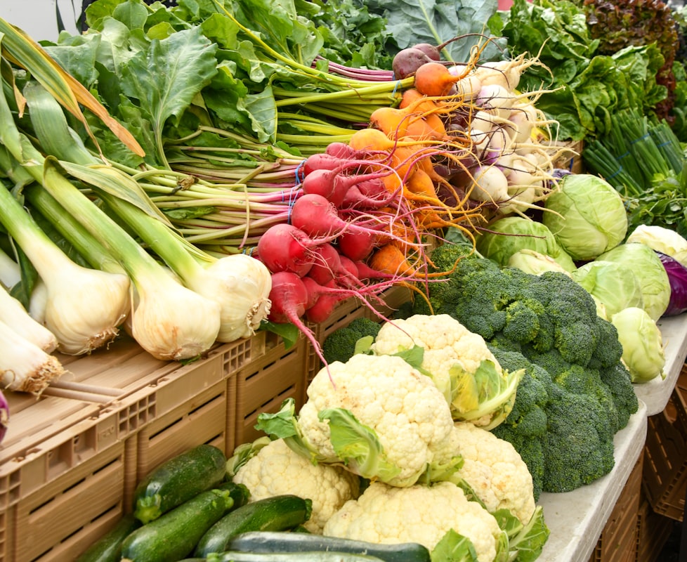 Understanding macronutrients and their functions